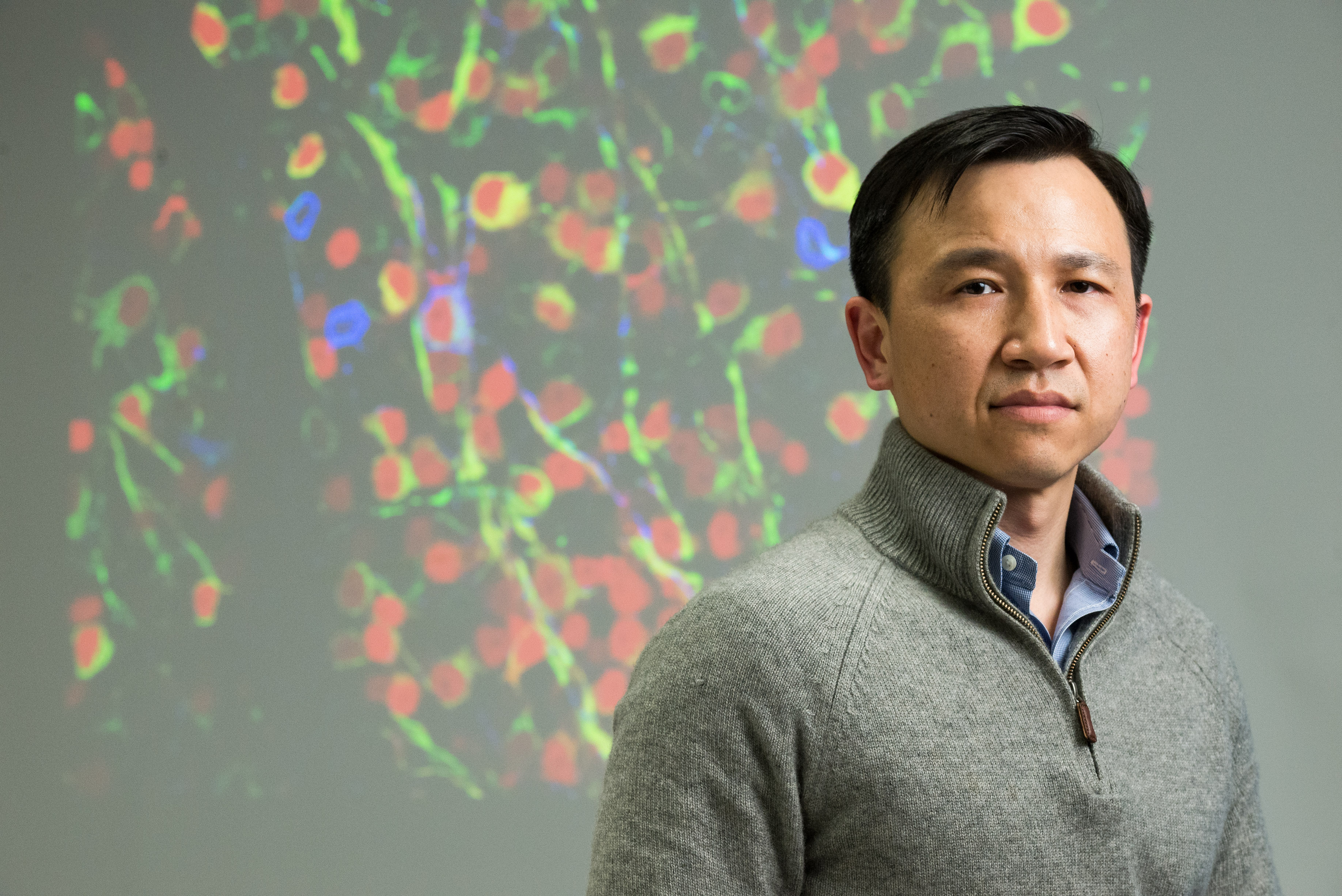  Prof Kai Liu from the Division of Life Science.